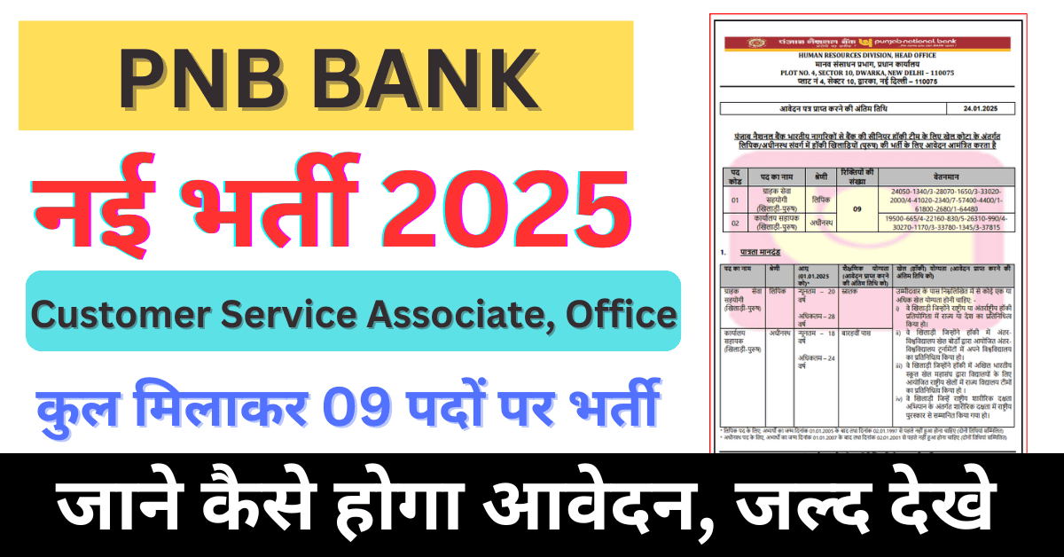 PNB Bank New Recruitment